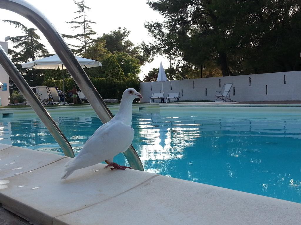 산테라모 인 콜레 La Ferula Bed&Pool 빌라 외부 사진